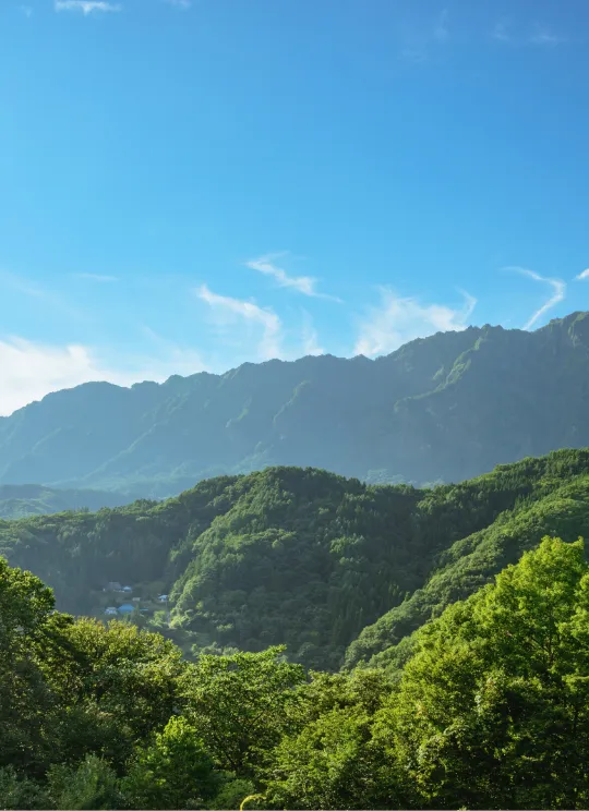 山脈の写真